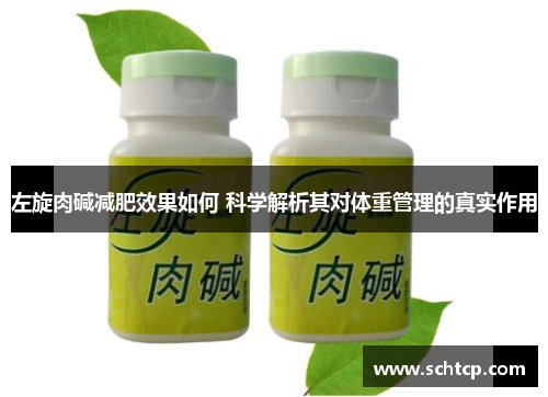 左旋肉碱减肥效果如何 科学解析其对体重管理的真实作用
